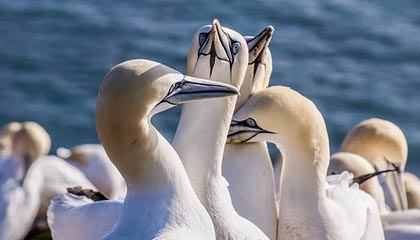 九游下载安装-KPL季后赛席位争夺激烈，kpl季后赛几个席位