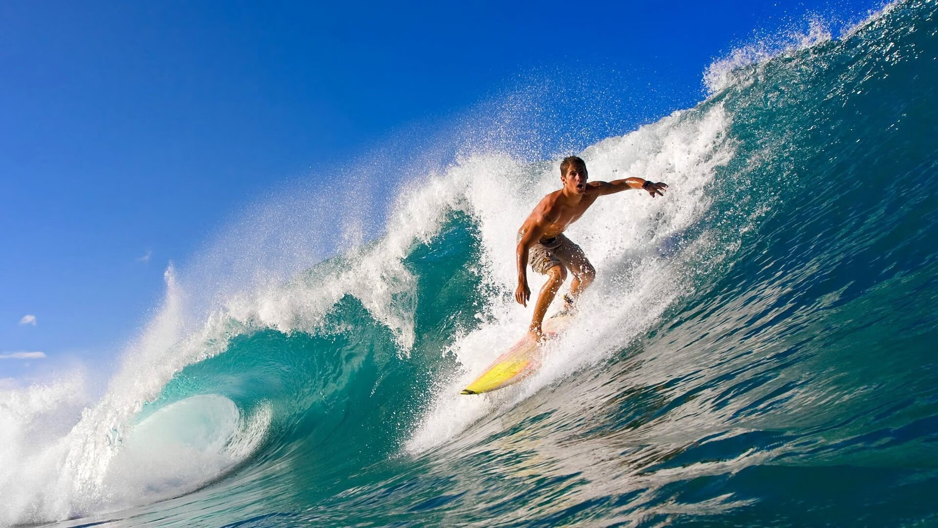 线上青训课程持续优化，推动全民享受优质体育资源，线上体育教育